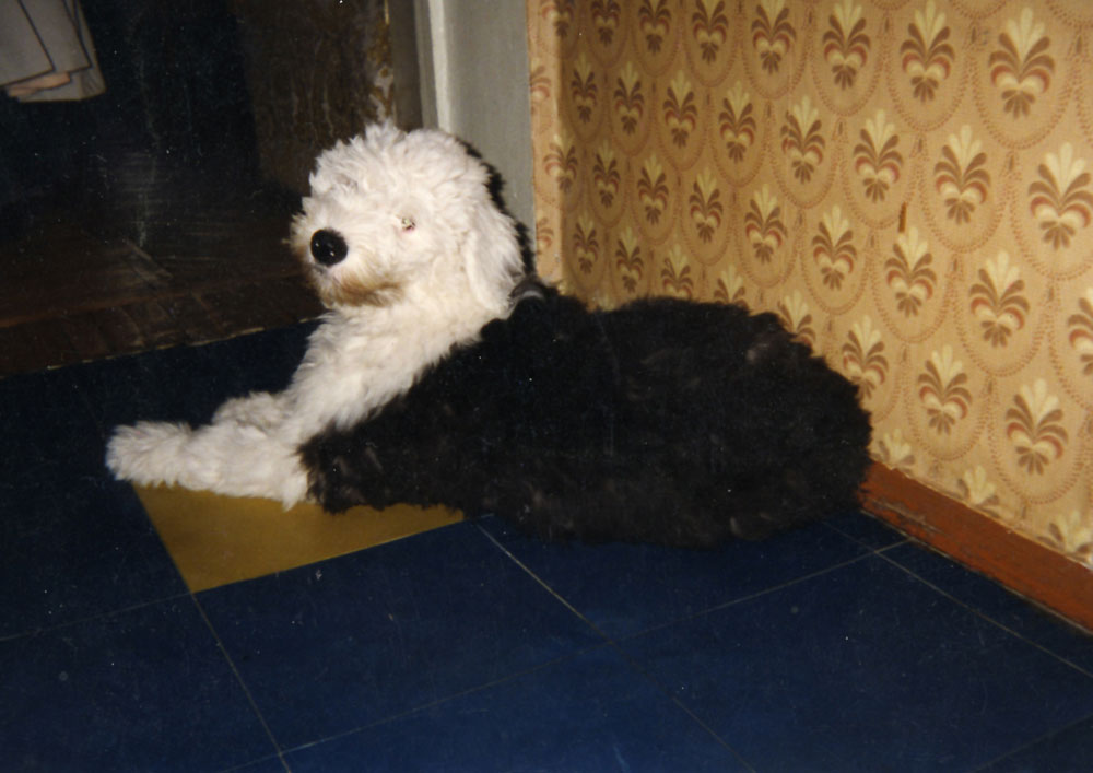 mem0008.jpg - 431432 Bytes