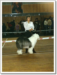 mem0010m.jpg - 48970 Bytes