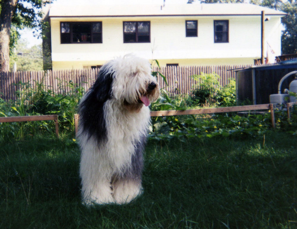 mem0011.jpg - 748030 Bytes