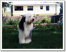 mem0011m.jpg - 54120 Bytes