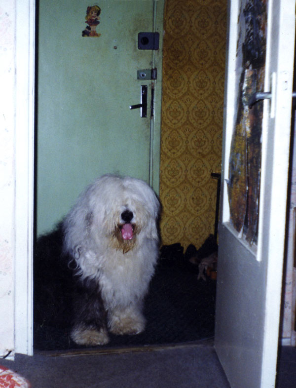 mem0012.jpg - 425416 Bytes