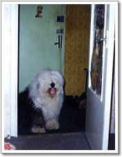 mem0012m.jpg - 40936 Bytes