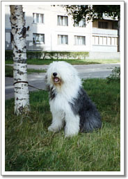 mem0014m.jpg - 55296 Bytes