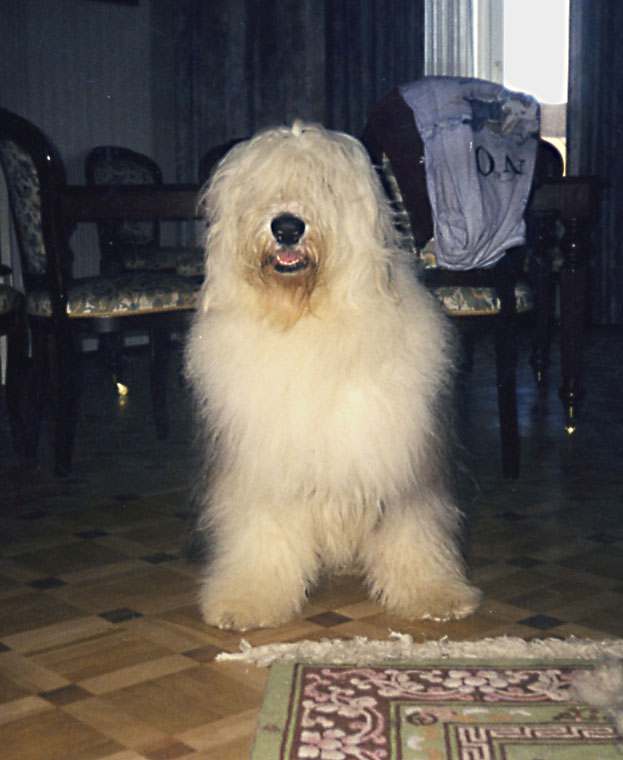 pit0001.jpg - 418032 Bytes