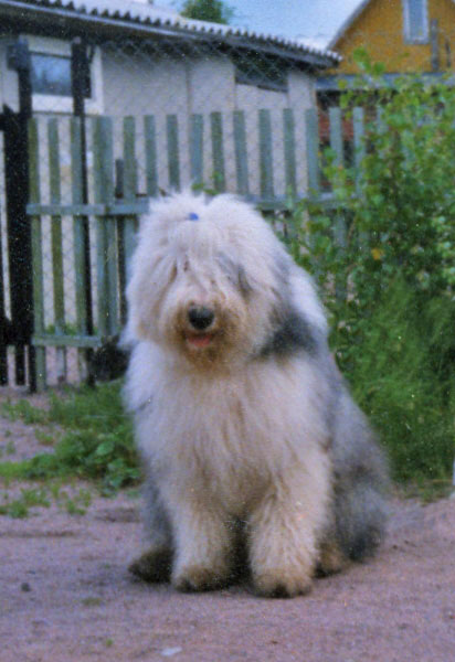 pit0005.jpg - 129350 Bytes