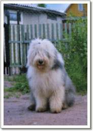pit0005m.jpg - 45944 Bytes