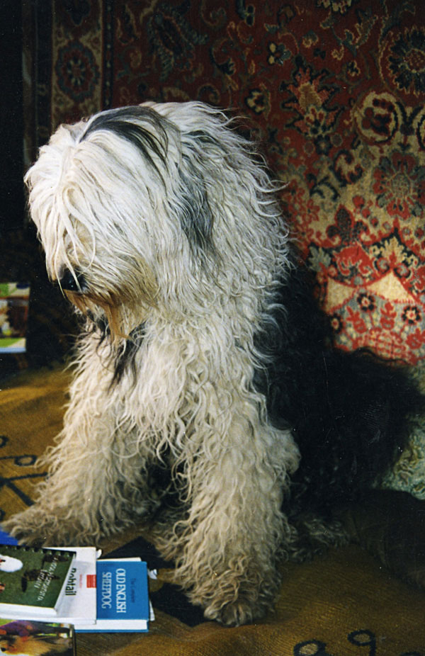 vot0015.jpg - 291498 Bytes