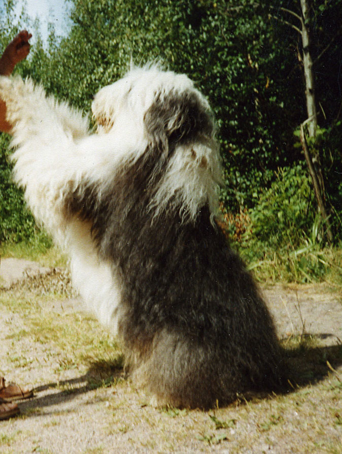 vot0016.jpg - 360279 Bytes
