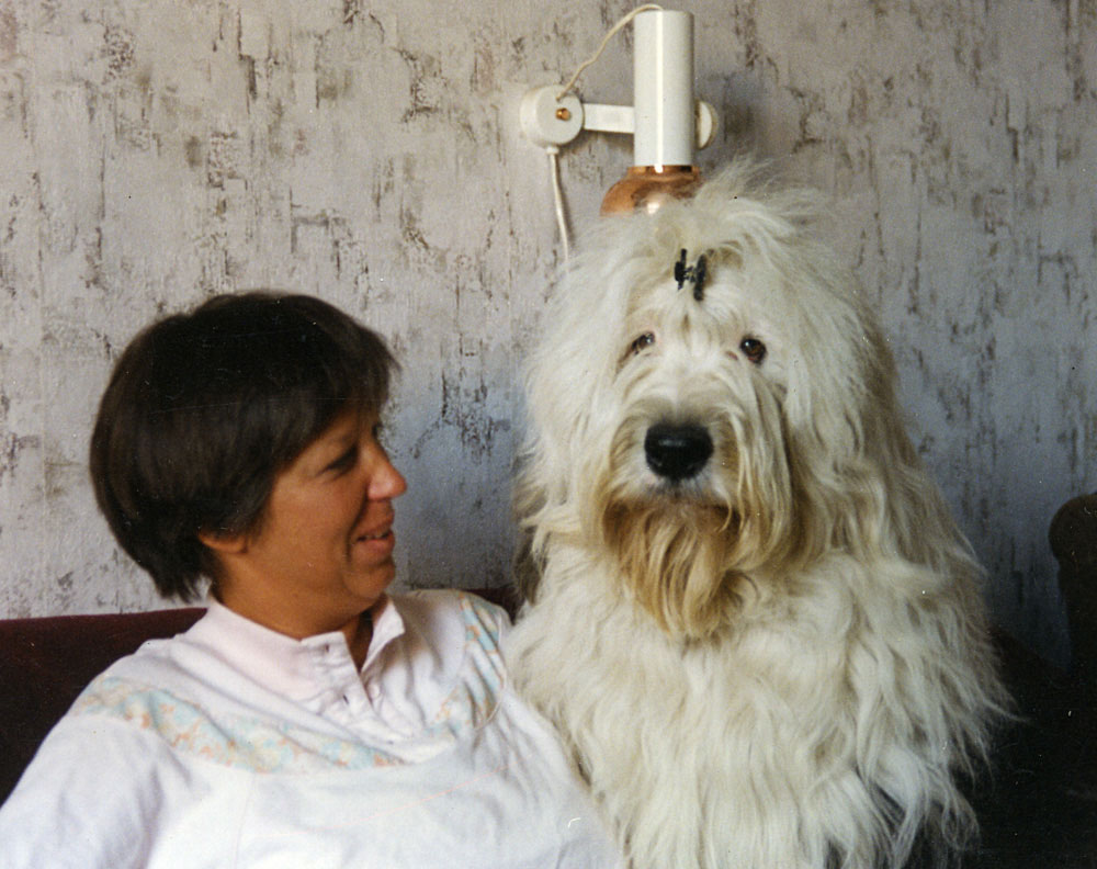vot0018.jpg - 347732 Bytes