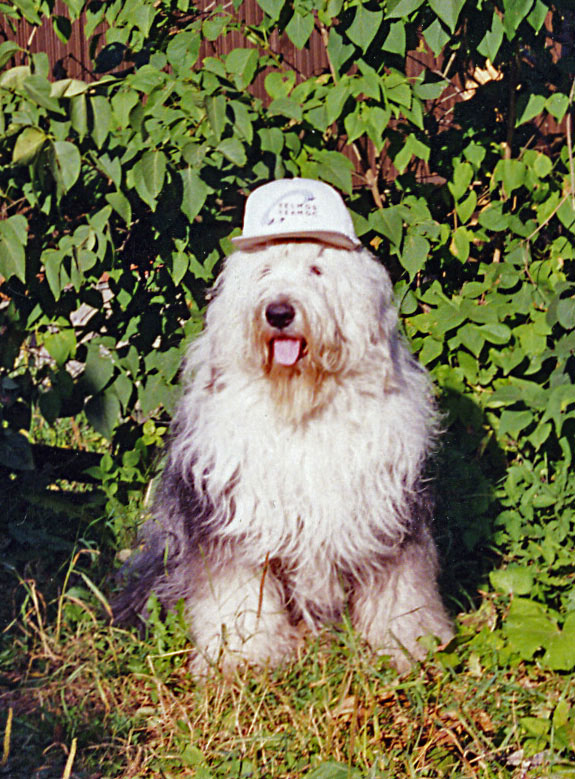 vot0019.jpg - 351221 Bytes
