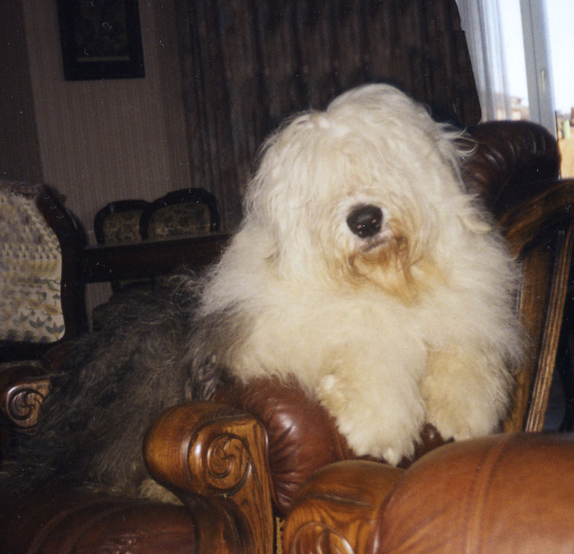 vot0020.jpg - 271664 Bytes
