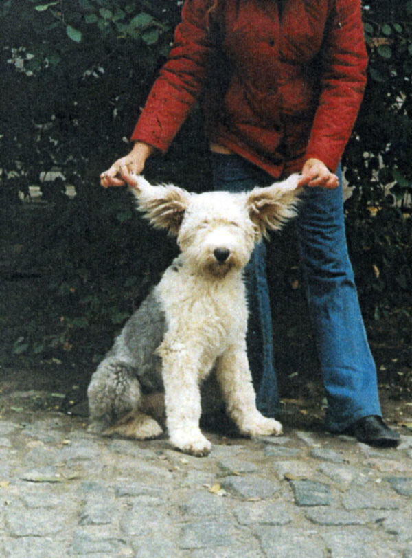 vot0023.jpg - 218481 Bytes