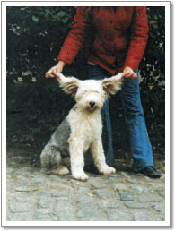 vot0023m.jpg - 51464 Bytes