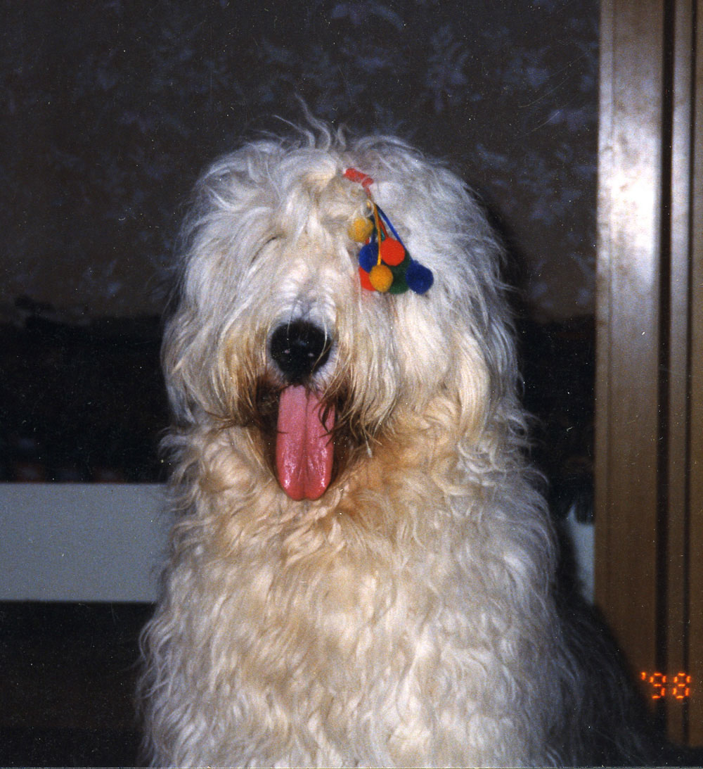 vot0025.jpg - 539793 Bytes