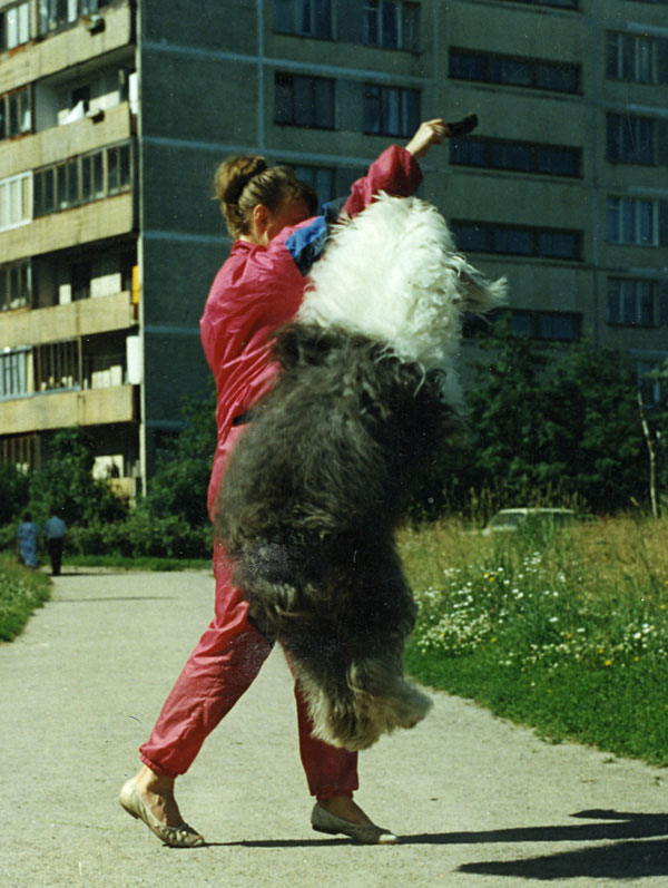 vot0030.jpg - 219155 Bytes