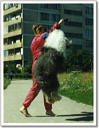 vot0030m.jpg - 55838 Bytes