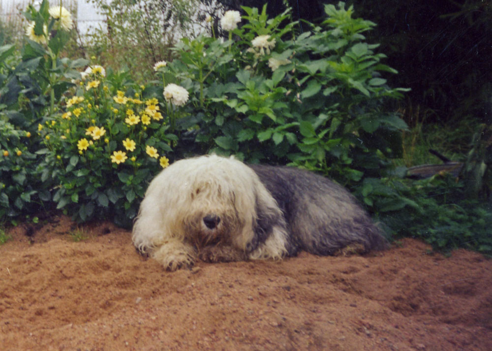 vot0038.jpg - 312932 Bytes