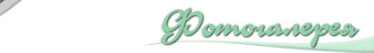 name-about.jpg - 4943 Bytes