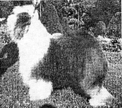 b37.jpg - 58694 Bytes