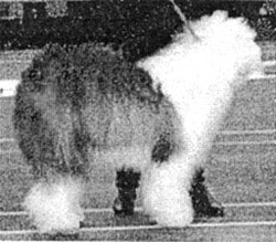 b55.jpg - 46003 Bytes